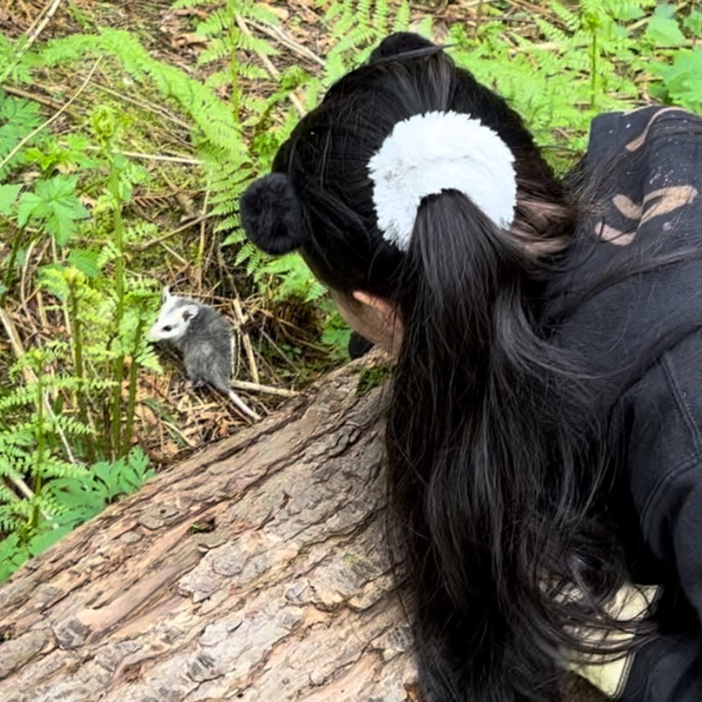 💕 POSH AMBASSADOR II & SUGGESTED USER 💕 - Picture 3 of 15